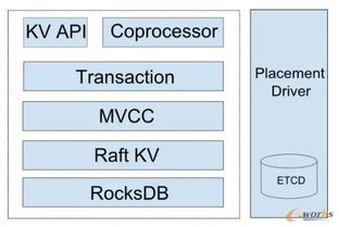 劉奇談如何構(gòu)建一個(gè)NewSQL數(shù)據(jù)庫(kù) 數(shù)據(jù)處理與存儲(chǔ)支持服務(wù)
